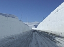 Slippery Roads